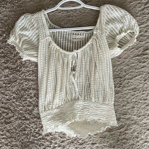 Urban Outfitter Sheer Crop